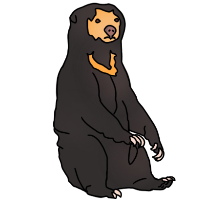 a sun bear sitting, facing the rightat a 3/4 angle. it has mostly fur that is vry dark brown, almost black. it has fur that is gold on its face and a chevron on its chest.